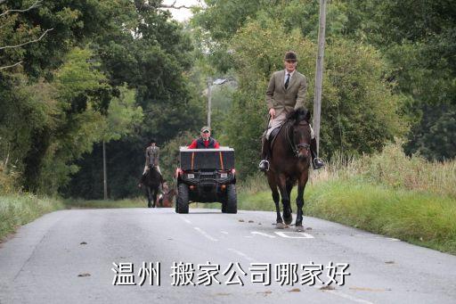  温州 搬家公司哪家好