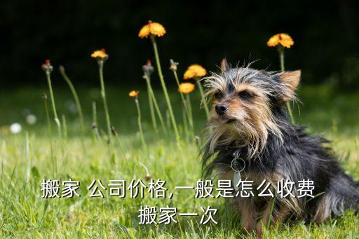  搬家 公司价格,一般是怎么收费 搬家一次