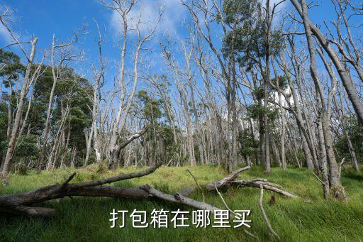 广东搬家包装纸箱批发电话