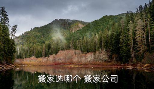  搬家选哪个 搬家公司