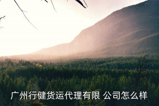 广州行健货运代理有限 公司怎么样