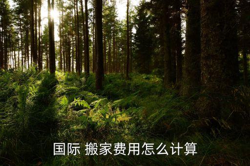 国际 搬家费用怎么计算