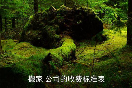 海口搬家公司报价表,搬家公司报价表格式怎么做