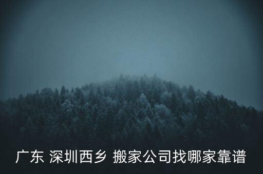 一家搬家公司推荐深圳宝安
