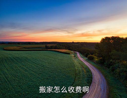  搬家怎么收费啊