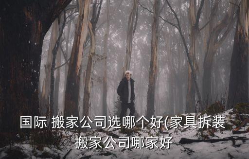 国际 搬家公司选哪个好(家具拆装 搬家公司哪家好