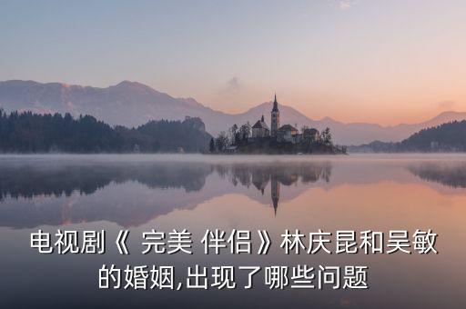 电视剧《 完美 伴侣》林庆昆和吴敏的婚姻,出现了哪些问题