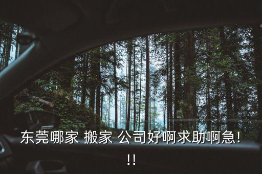 东莞哪家 搬家 公司好啊求助啊急!!!