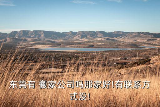 东莞有 搬家公司吗那家好!有联系方式没!