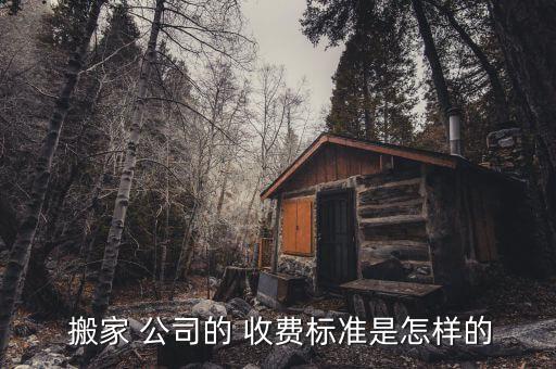  搬家 公司的 收费标准是怎样的