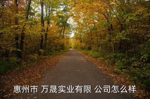 惠州市 万晟实业有限 公司怎么样