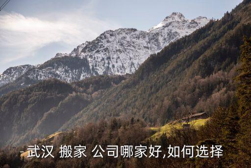 武汉 搬家 公司哪家好,如何选择