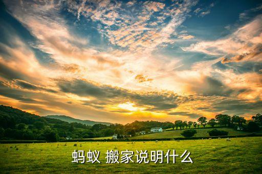  蚂蚁 搬家说明什么