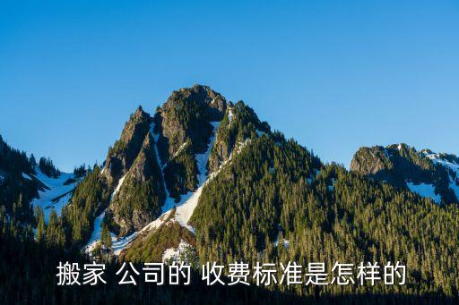  搬家 公司的 收费标准是怎样的