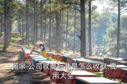  搬家 公司收费标准是怎么收取,费用大全