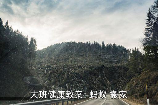 蚂蚁搬家的秘密活动,我发现了蚂蚁搬家的秘密300字