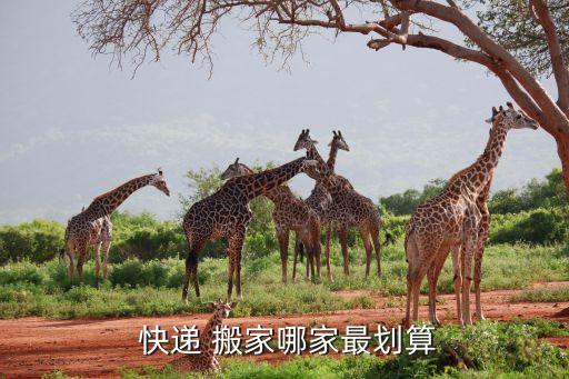  快递 搬家哪家最划算