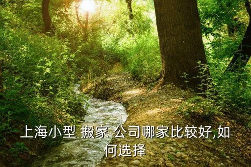 上海小型 搬家 公司哪家比较好,如何选择