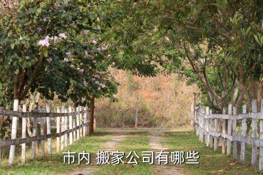 市内 搬家公司有哪些
