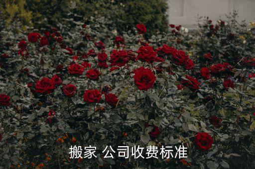  搬家 公司收费标准
