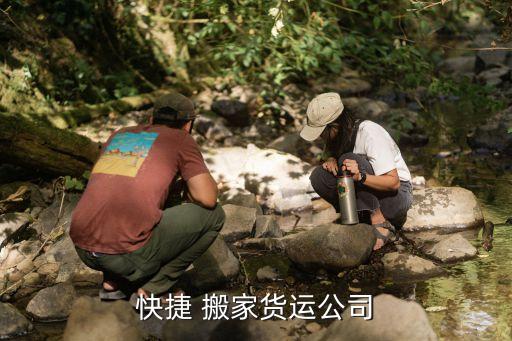 宠物蚂蚁搬家纸箱推荐pdd,蚂蚁搬家提供纸箱吗