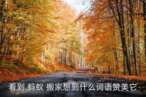 形容蚂蚁搬家整齐的成语,形容队列整齐有气势的成语