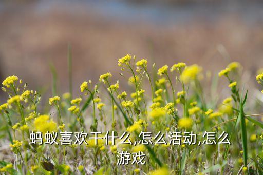  蚂蚁喜欢干什么,怎么活动,怎么 游戏