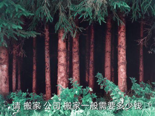 礼泉搬家公司收费标准价格,北京搬家公司一般收费标准