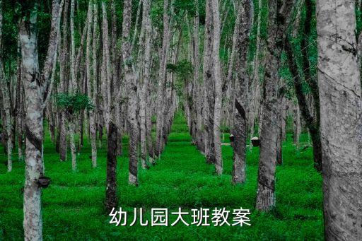幼儿园大班教案