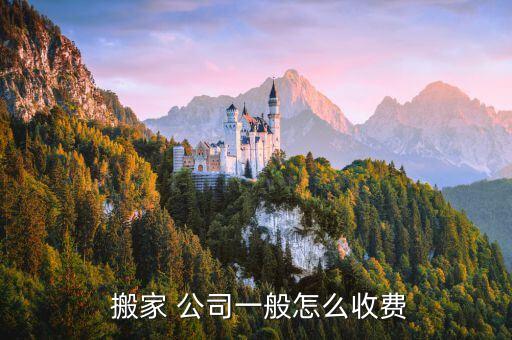 最专业的搬家公司价格,专业搬家公司长途搬运