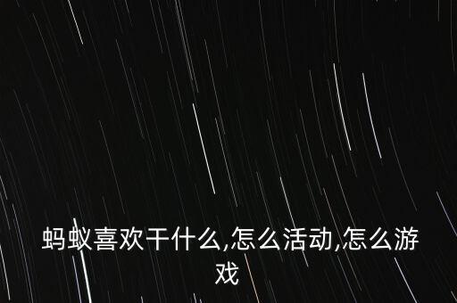  蚂蚁喜欢干什么,怎么活动,怎么游戏