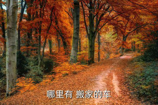 芜湖南瑞这边有搬家公司吗