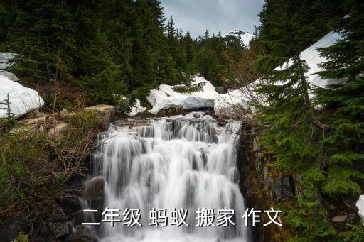 二年级 蚂蚁 搬家 作文
