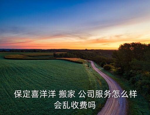 保定喜洋洋 搬家 公司服务怎么样会乱收费吗