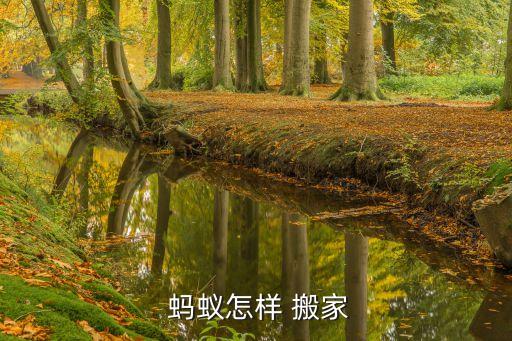  蚂蚁怎样 搬家