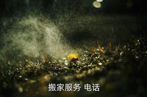 泉港区搬家电话多少号