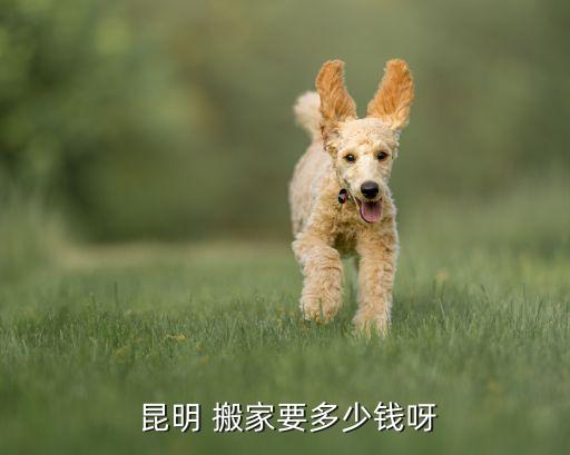  昆明 搬家要多少钱呀