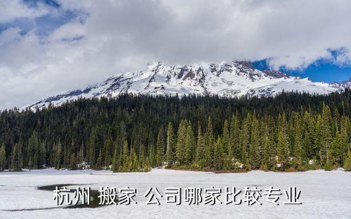  杭州 搬家 公司哪家比较专业
