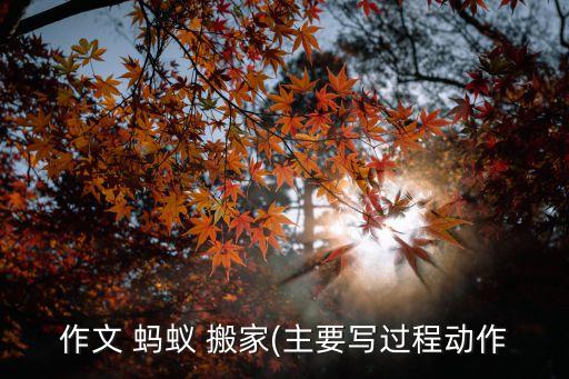 观察蚂蚁怎么搬家