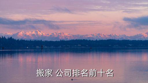  搬家 公司排名前十名