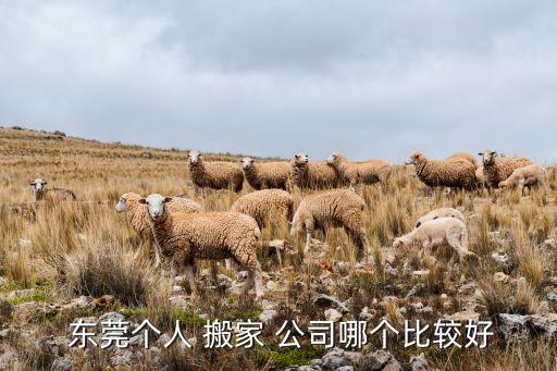 东莞搬家公司电话查询,长治市搬家公司电话查询