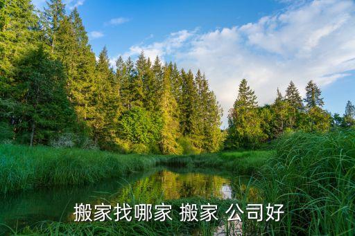  搬家找哪家 搬家 公司好