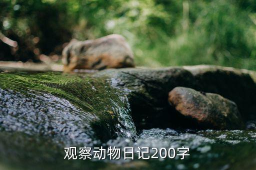 观察动物日记200字
