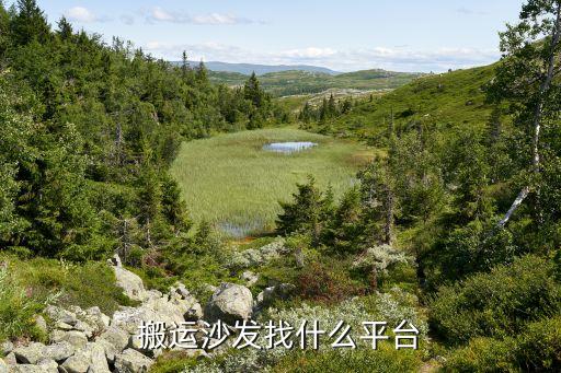 搬运沙发找什么平台