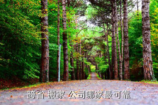 推荐一下伦敦搬家公司,伦敦搬家公司多少钱