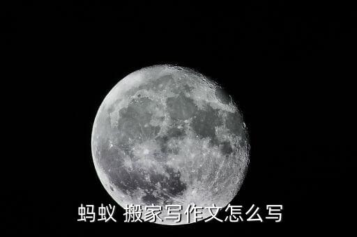 写蚂蚁搬家的过程300字,用先再然后写蚂蚁搬家的过程