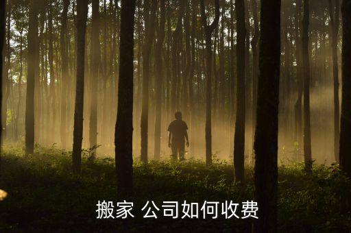  搬家 公司如何收费