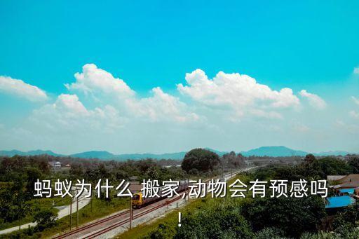  蚂蚁为什么 搬家,动物会有预感吗!