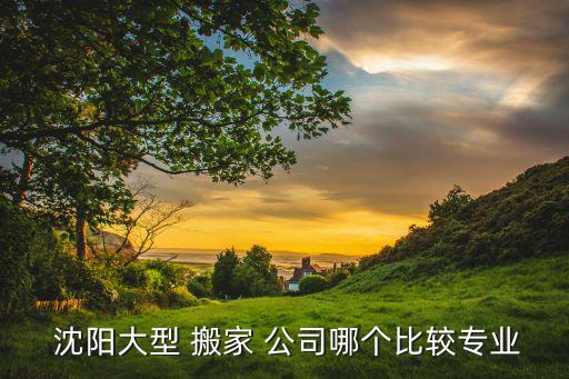  沈阳大型 搬家 公司哪个比较专业