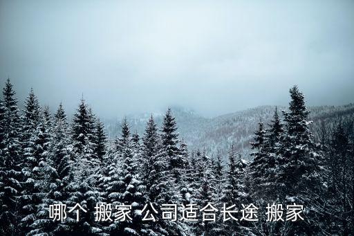 哪个 搬家 公司适合长途 搬家